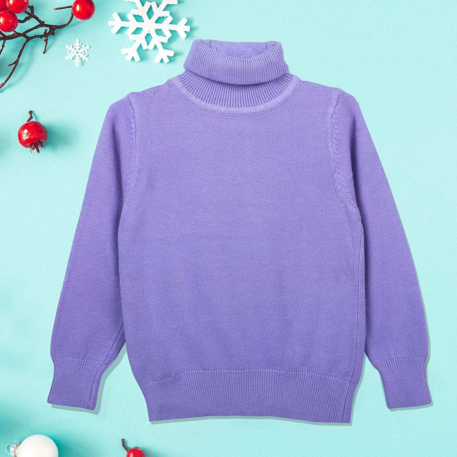 Basic Polo Neck Ribbed Premium Full Sleeves Knitted Kids Sweater - Purple