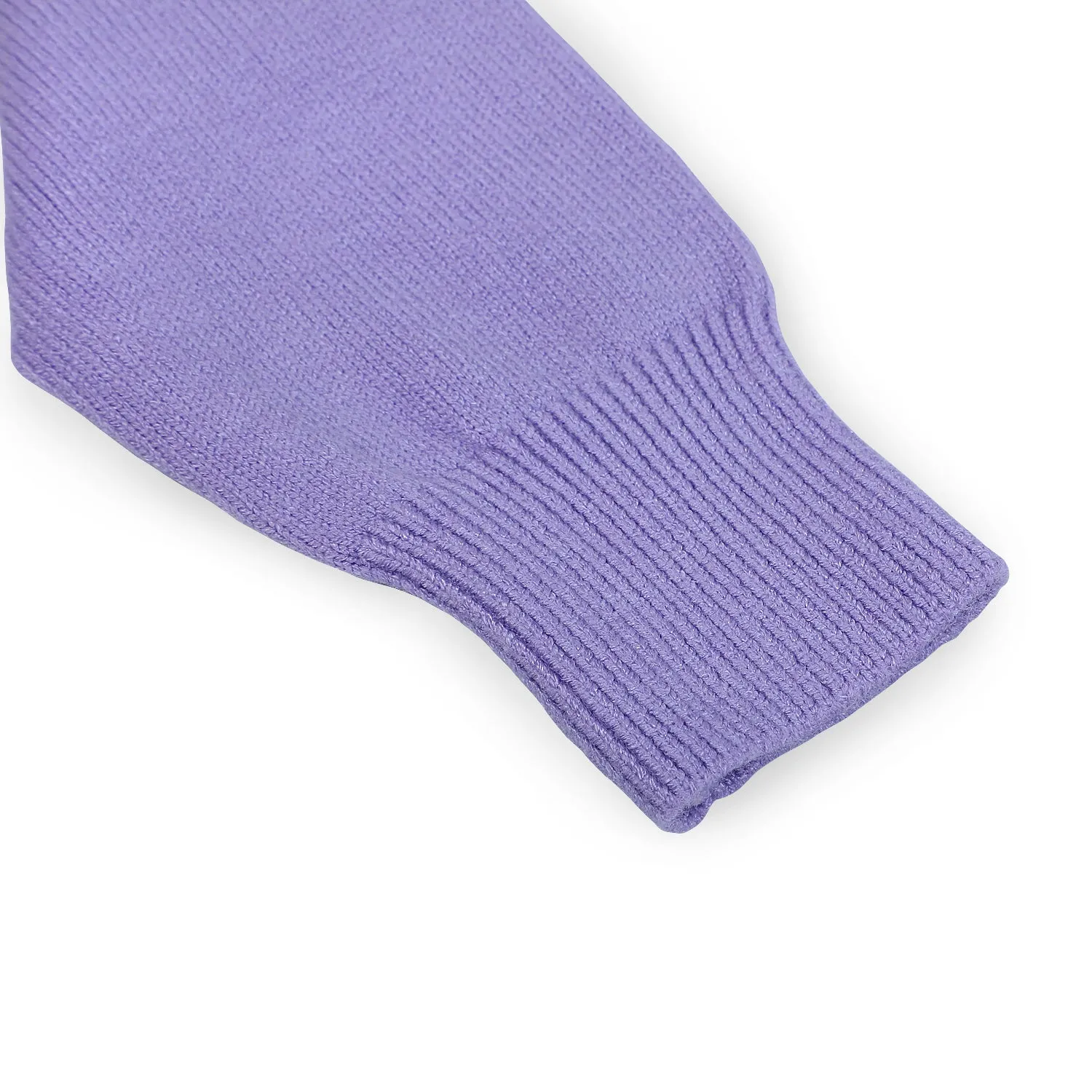 Basic Polo Neck Ribbed Premium Full Sleeves Knitted Kids Sweater - Purple